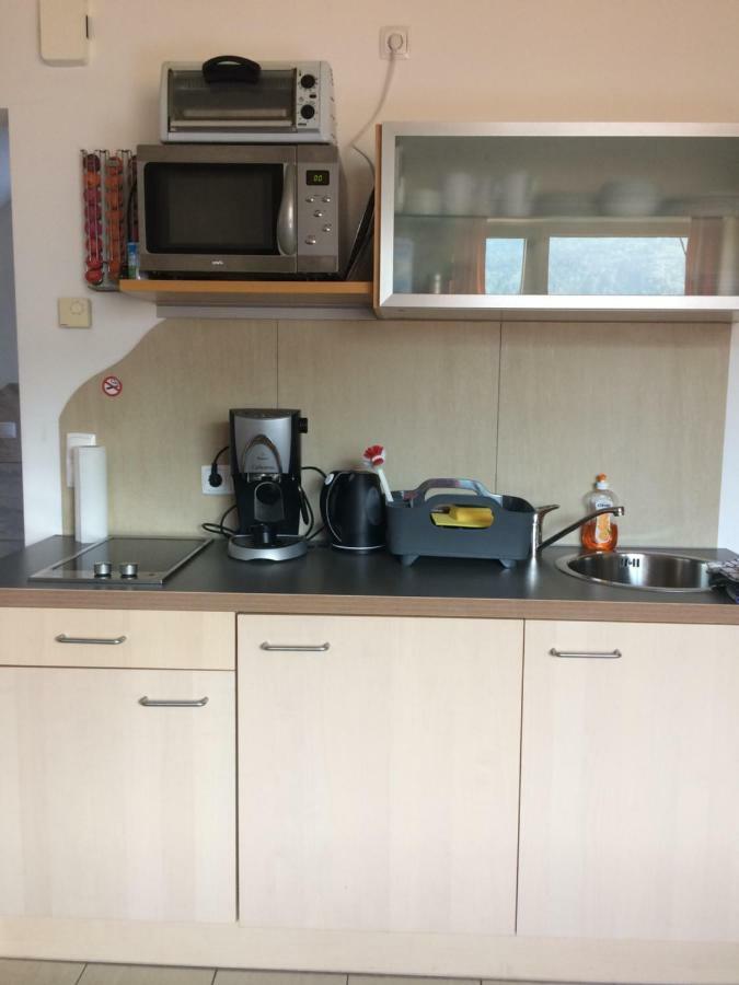 Ferienwohnung Frieser Steindorf am Ossiacher See Eksteriør billede